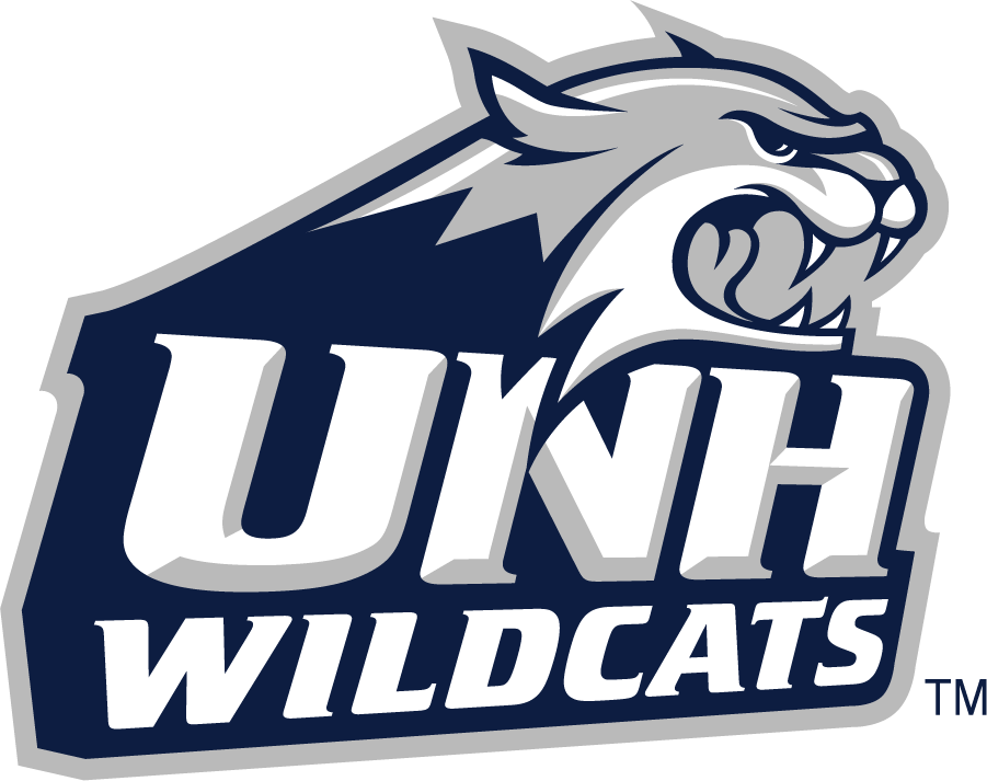 New Hampshire Wildcats 2000-Pres Secondary Logo v2 iron on transfers for T-shirts